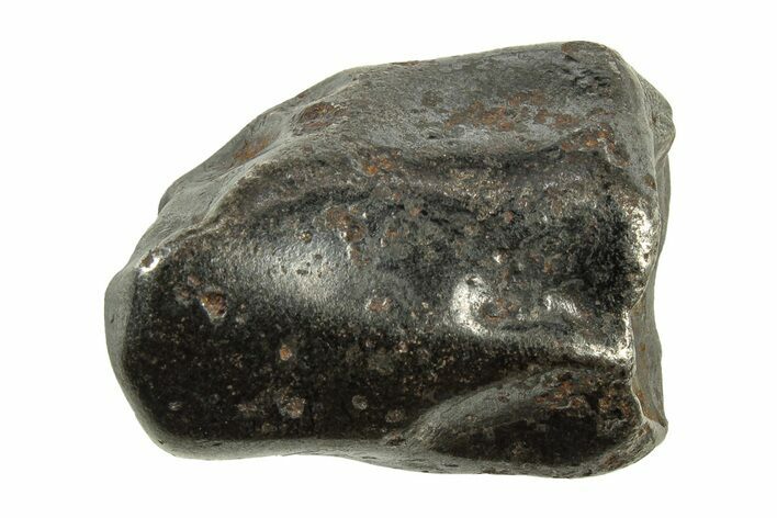 Fusion Crusted Sikhote-Alin Iron Meteorite ( g) - Russia #243174